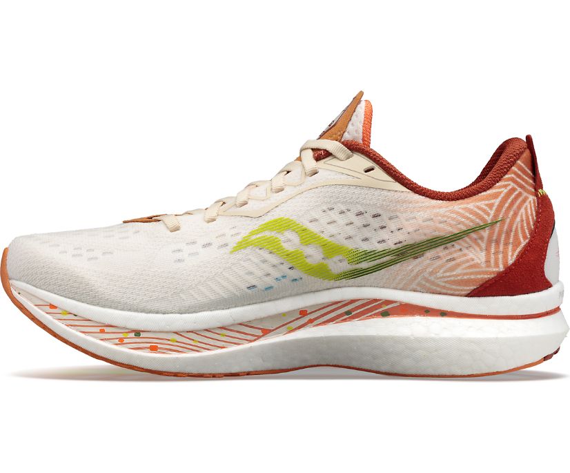 Saucony Endorphin Speed 2 Special Edition Muške Tenisiće Smeđe Smeđe | RQ2X1B4S